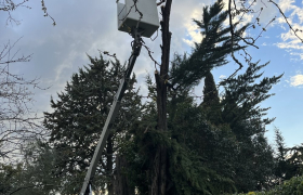 Chantier à Roquecourbe 