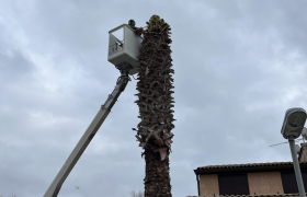 Chantier à Mazamet 