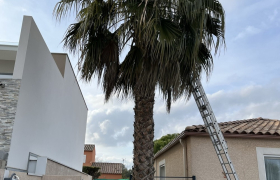 Chantier réalisé Albi 