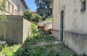 Taille d’un géant tilleul 