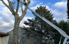 Chantier réalisé à Castres